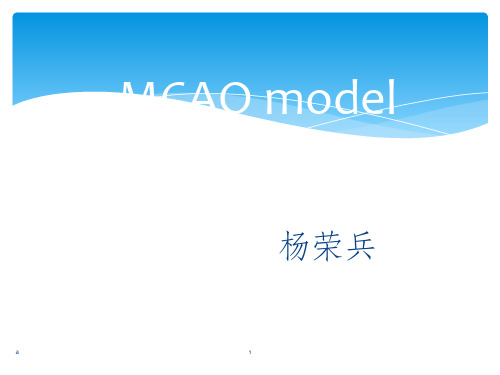 MCAO模型