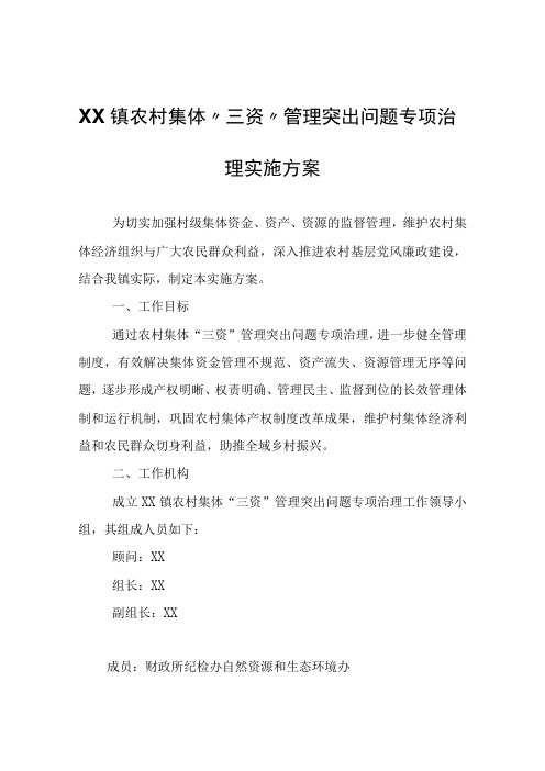 XX镇农村集体三资管理突出问题专项治理实施方案