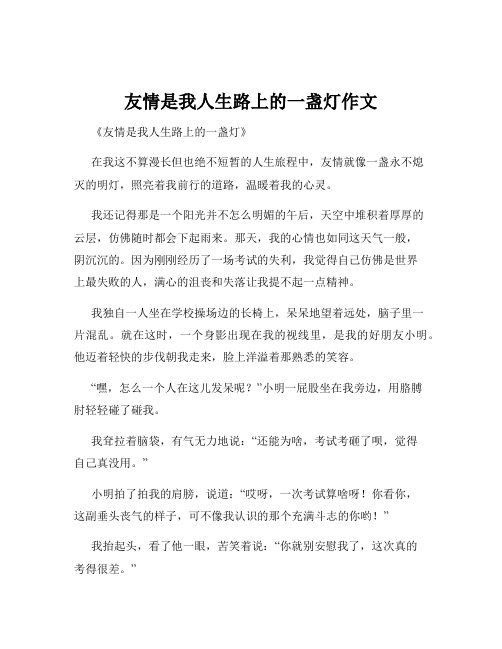 友情是我人生路上的一盏灯作文