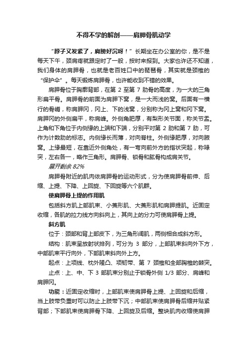 不得不学的解剖——肩胛骨肌动学