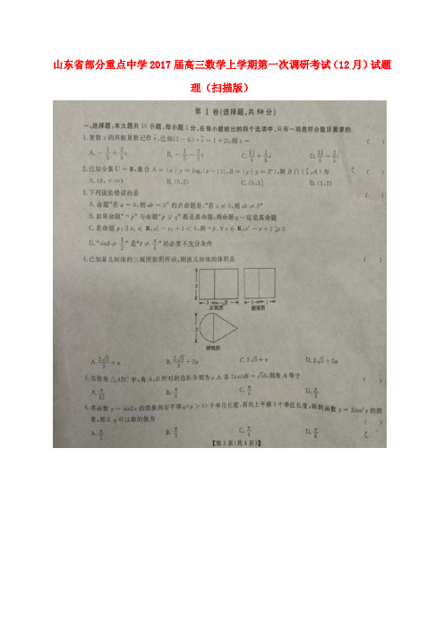 山东省部分重点中学2017届高三数学上学期第一次调研考试(12月)试题 理(扫描版)