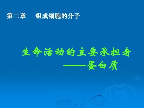 人教版教学课件云南省弥勒县庆来中学2011-2012学年高一生物 2.2 生命活动的主要承担者(课件)