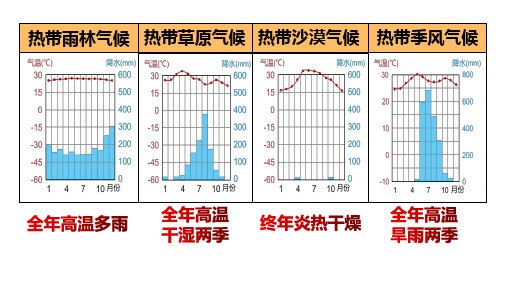 〖地理〗世界的气候2课件-2024-2025学年人教版地理七年级上册