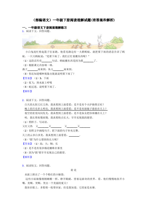 一年级(部编语文)一年级下册阅读理解试题(有答案和解析)