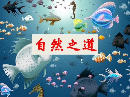 《自然之道》课件1-优质公开课-冀教四下精品