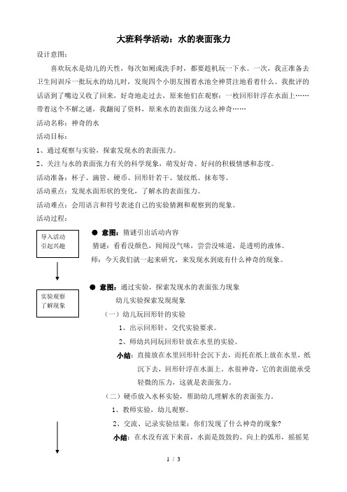 大班科学：水的表面张力