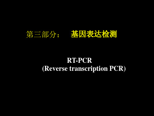 基因表达检测RTPCR