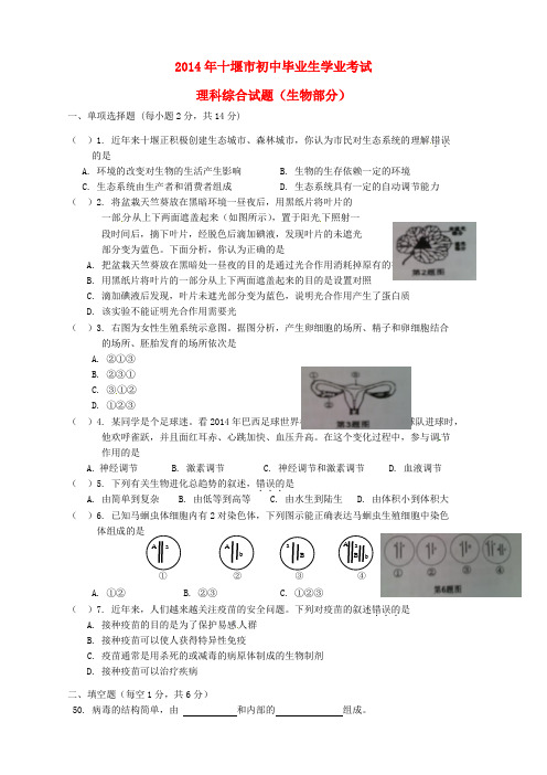 湖北省十堰市2014年中考理综(生物部分)真题试题(含答案)