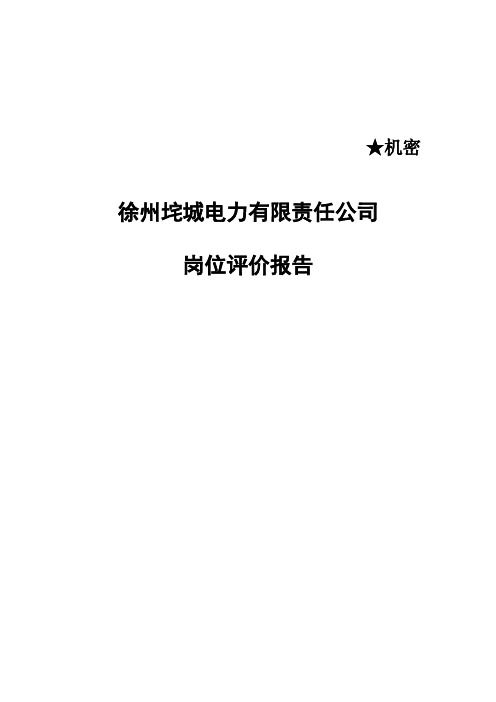 某电力有限责任公司岗位评价报告(43页)