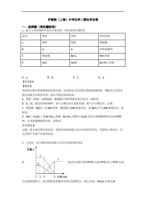 沪教版(上海)中考化学二模化学试卷