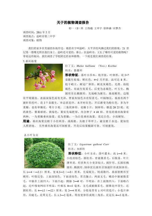 关于的植物调查报告