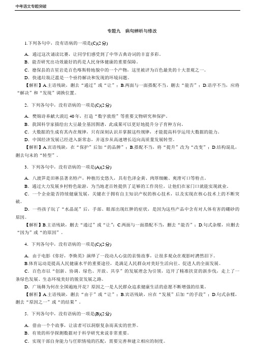 中考语文专题突破 专题9  病句辨析与修改