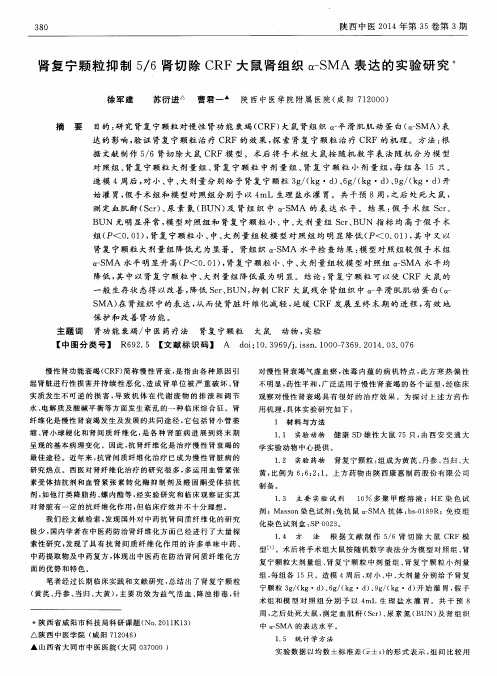 肾复宁颗粒抑制5／6肾切除CRF大鼠肾组织α-SMA表达的实验研究