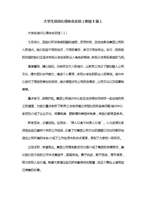 大学生培训心得体会总结(集锦5篇)