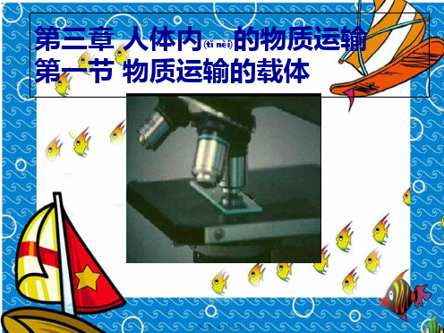 七年级生物下册 3.3.1 物质运输的载体课件(1)