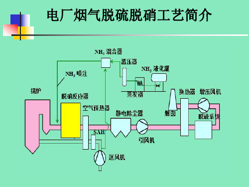 电厂烟气脱硫脱硝技术(培训)