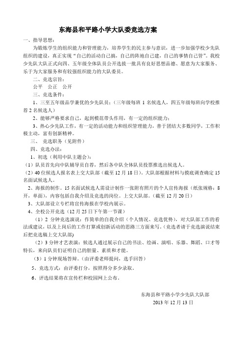 和平路小学大队委竞选方案
