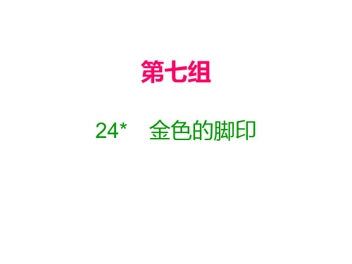 六年级上册语文课件24 金色的脚印｜人教新课标(含答案) (共13张PPT)