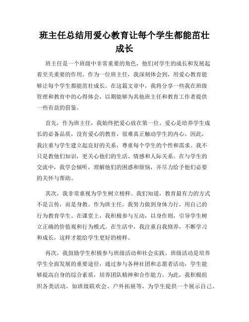 班主任总结用爱心教育让每个学生都能茁壮成长