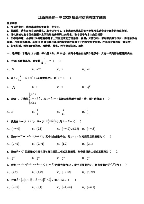 江西省新建一中2025届高考仿真卷数学试题含解析