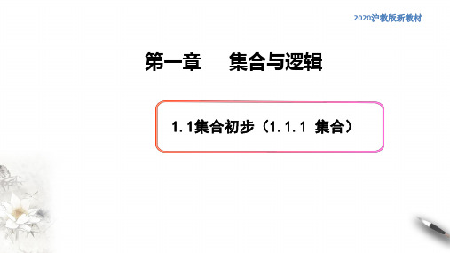 1.1集合初步(1)集合的概念---高一数学新教材配套课件(沪教版2020)