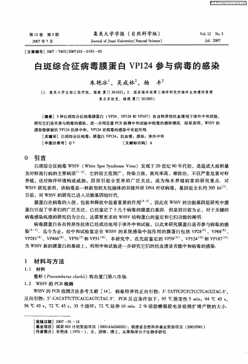 白斑综合征病毒膜蛋白VP124参与病毒的感染