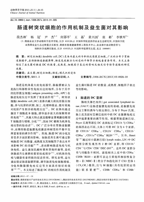 肠道树突状细胞的作用机制及益生菌对其影响