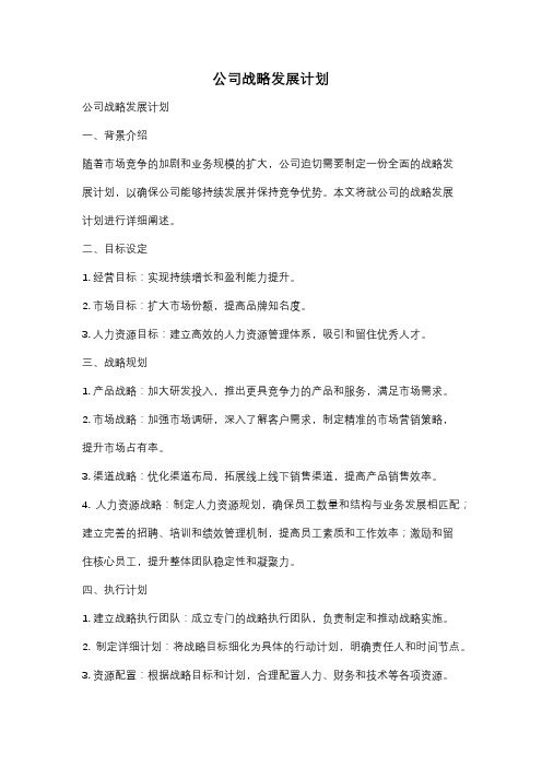 公司战略发展计划