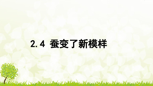 教科版 三年级下册科学  蚕变了新模样课件