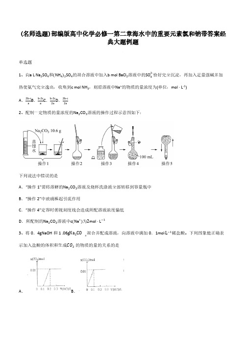 部编版高中化学必修一第二章海水中的重要元素氯和钠带答案经典大题例题