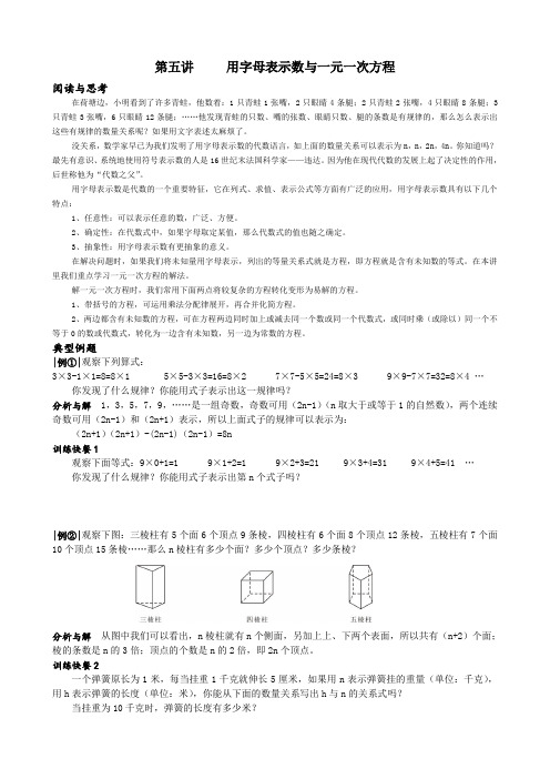 5第五讲 用字母表示数与一元一次方程