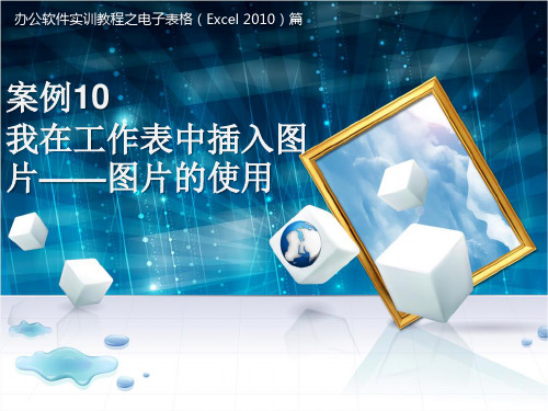 办公软件实训教程Excel 案例10 我在工作表中插入图片——图片的使用