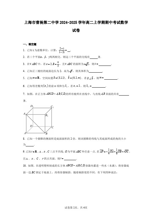 上海市曹杨第二中学2024-2025学年高二上学期期中考试数学试卷