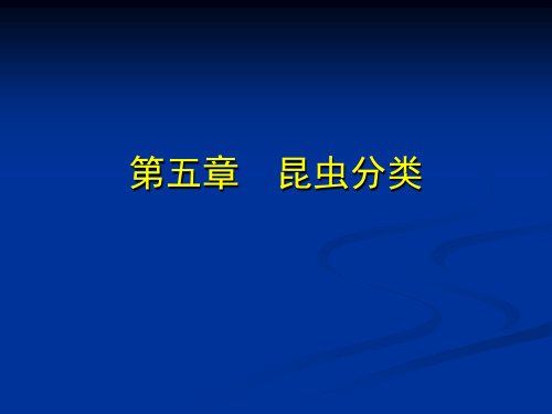 昆虫学课件第五章 昆虫分类 基本原理