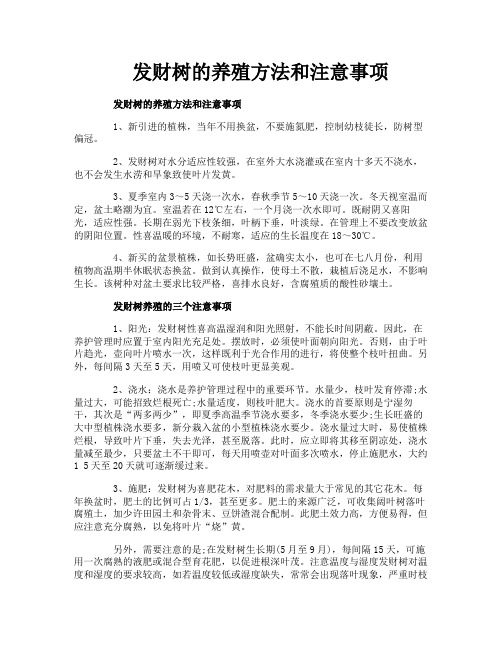 发财树的养殖方法和注意事项