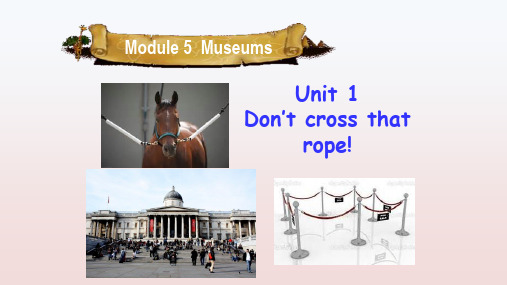 外研版英语九年级上册 Module 5 Museums Unit 1公开课PPT课件