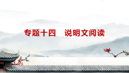 专题十四 说明文阅读(课件)-+2025年中考语文部编版一轮专题复习(山东)