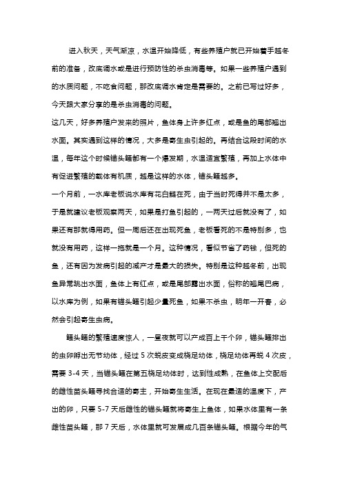 鱼身上有虫子怎么办