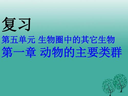 八年级生物上册第五单元第一章动物的主要类群复习课件新人教版