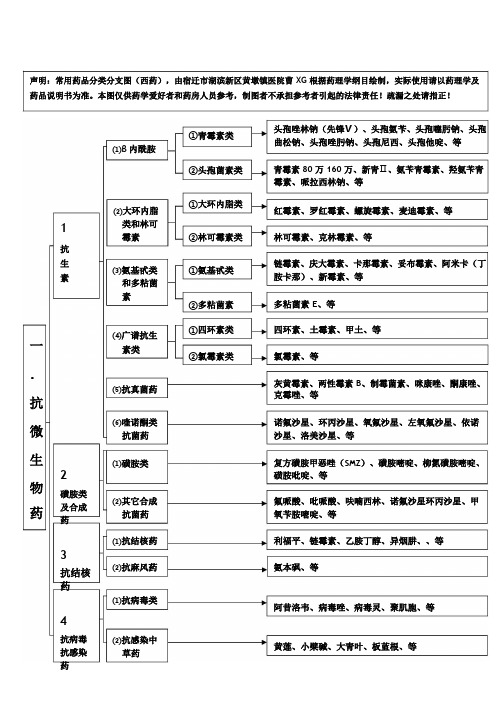 常用药品分类分支图(西药)