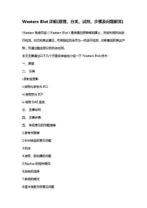 western blot 实验原理及操作