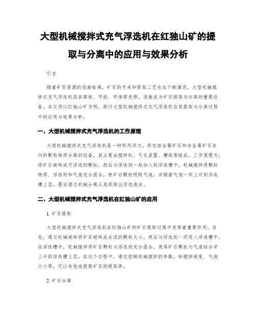 大型机械搅拌式充气浮选机在红独山矿的提取与分离中的应用与效果分析