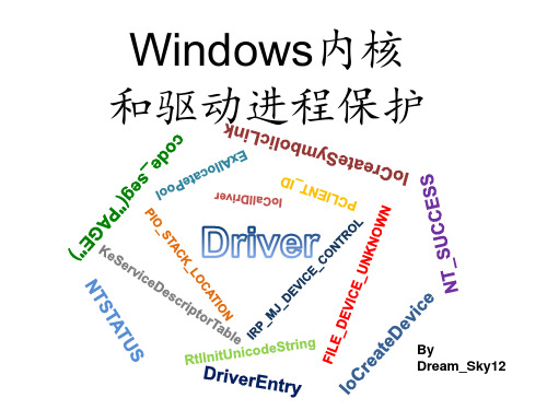 Windows内核和驱动进程保护