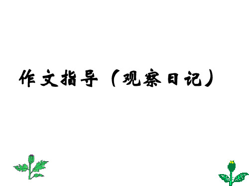 四年级上册语文第二单元作文指导(观察日记)