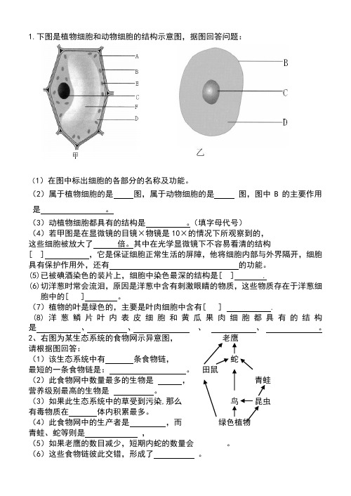 七年级上册生物识图题集锦