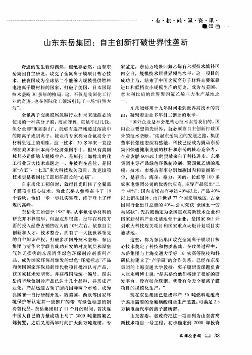 山东东岳集团：自主创新打破世界性垄断