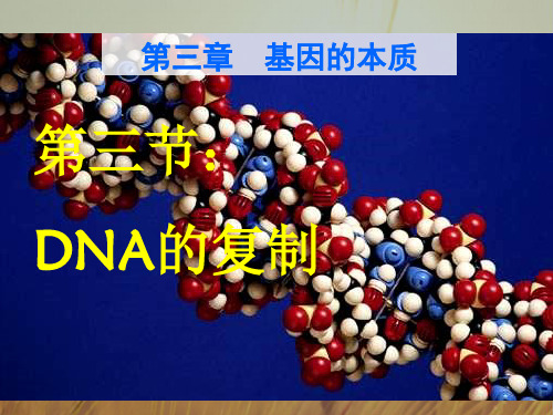 2018学年高中生物必修二3-3 DNA的复制 课件