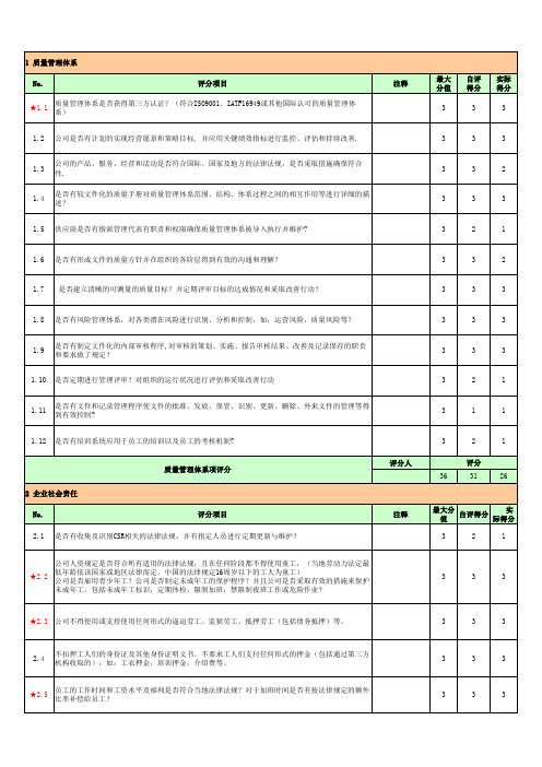 供应商审核自评表