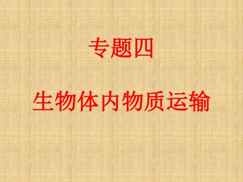 江苏省铜山区清华中学中考生物 10 维持生物体的平衡复习名师优质课件(2)