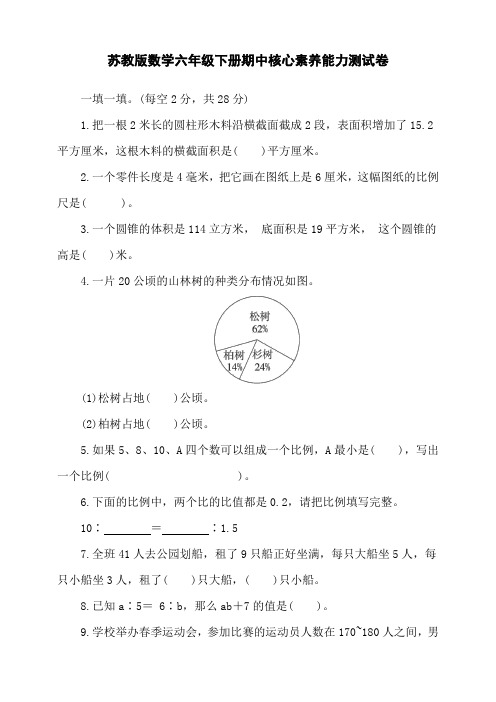 2024苏教版数学六年级下册期中核心素养能力测试卷(含答案)